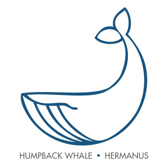 humpback whale apron image